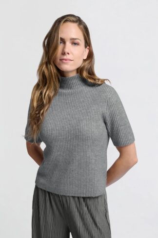 Grey Turtle Neck